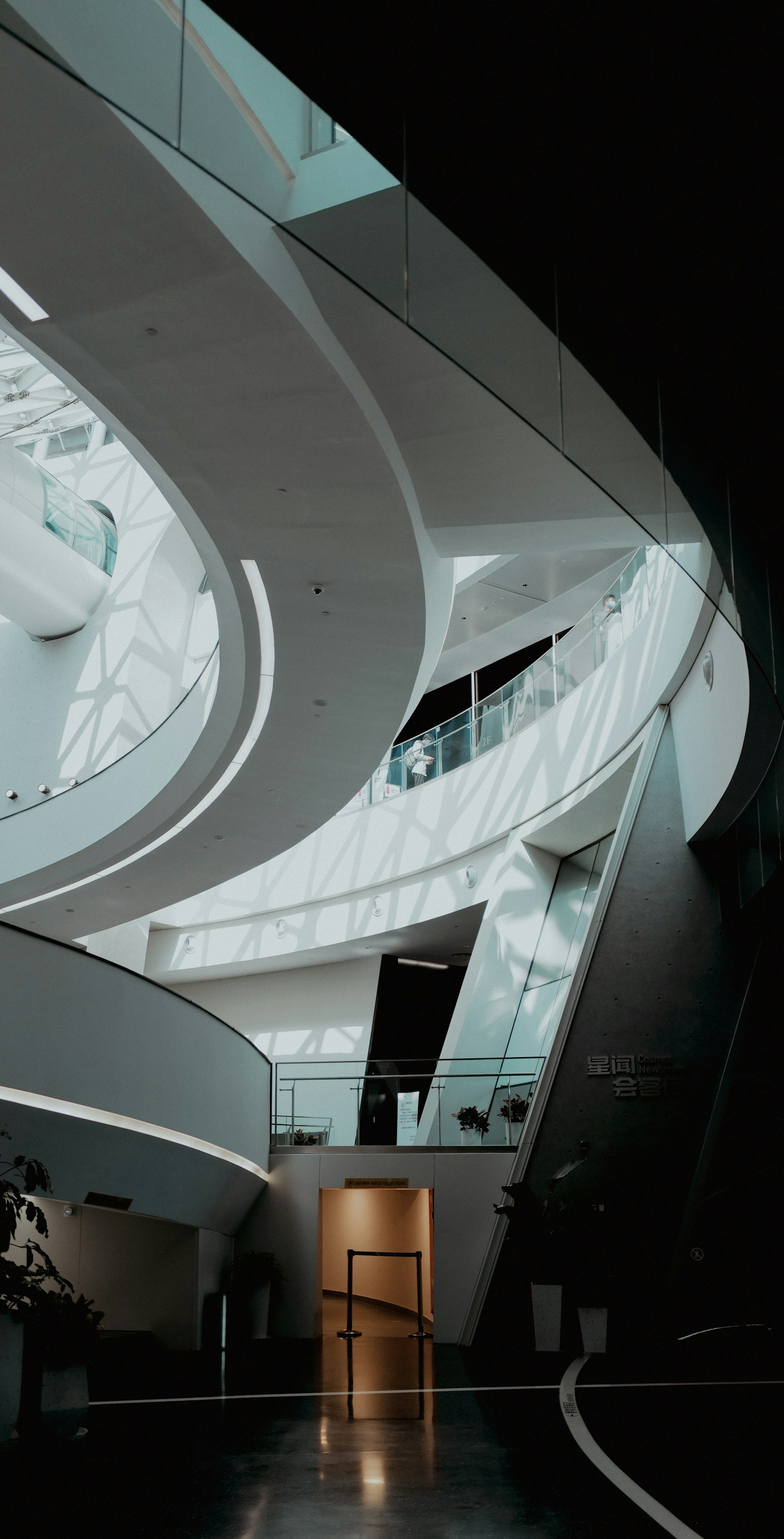 Sculptural lines, natural light, and a fresh perspective on the spaces we inhabit.